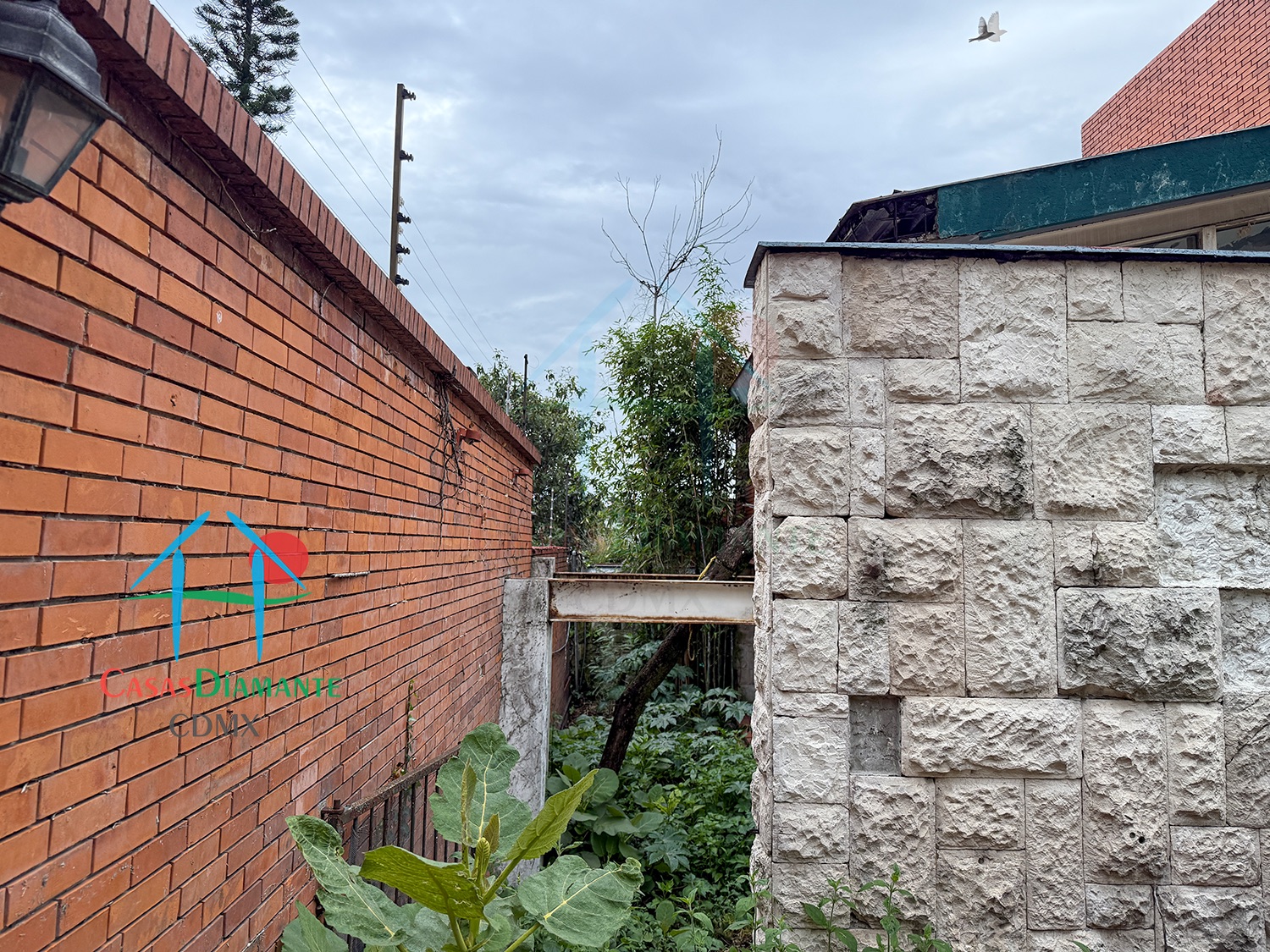 Bosques de las Lomas Terreno Jaguar BBC - Propiedad a demoler 13